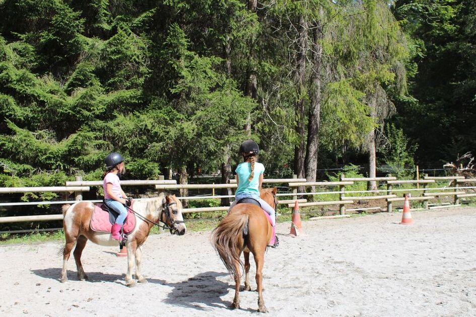 Cours équitation