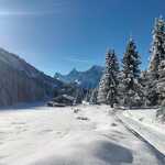 Snowshoeing and dinner in a teepee