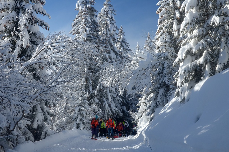 Snow shoeing with Montagne Activités