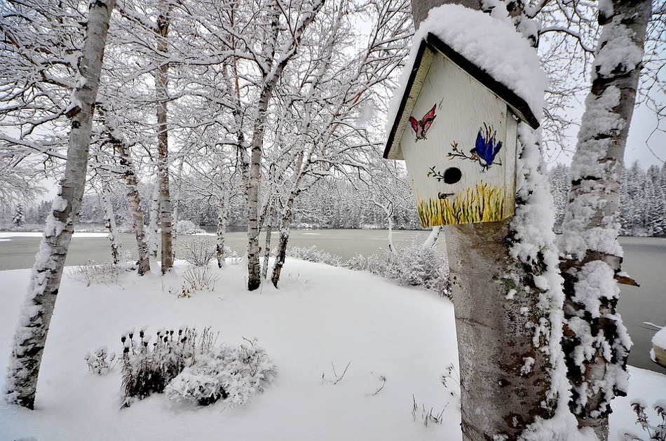 Manufacture of birdhouses