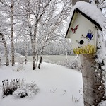 Manufacture of birdhouses