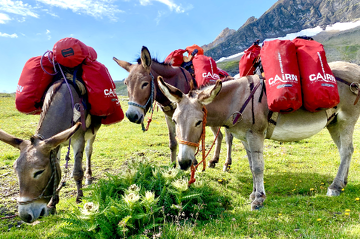 © Walking with a donkey - CAIRN - CAIRN