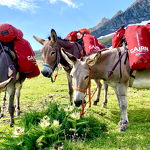 © Walking with a donkey - CAIRN - CAIRN