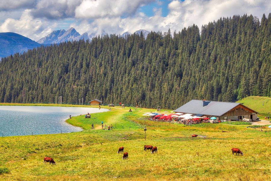 © Airon lake and alpine pasture - Bouilleur de photos