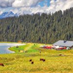 © Airon lake and alpine pasture - Bouilleur de photos