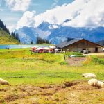 © Alpage et lac de l'Airon en télécabine - Bouilleur de photos