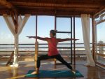 Cours de Yoga Vinyasa