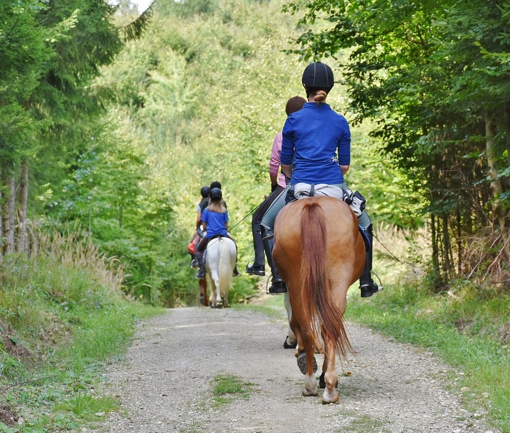 Stage d'équitation