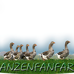 © Ganzen Fanfare - Ganzen Fanfare