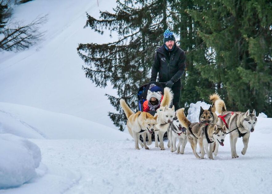 © BD Flaine-Granges-Heidi-Chiens-Traineau-Hiver - Les Granges de Heidi
