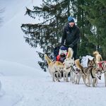 © BD Flaine-Granges-Heidi-Chiens-Traineau-Hiver - Les Granges de Heidi