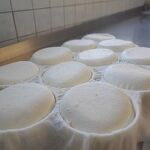 © Vente de fromages à la ferme à Ballancy - @Ferme de Ballancy