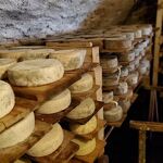 © Purchase cheese from the Ballancy farm - @Ferme de Ballancy