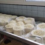© Purchase cheese from the Ballancy farm - @Ferme de Ballancy