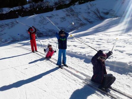 La montagne en hiver : chiens de traineaux