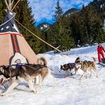 © Conduite d'un attelage de chiens de traîneaux - Évasion Nordique 74 - @Franck Charton