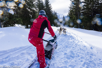 © Conduite d'un attelage de chiens de traîneaux - Évasion Nordique 74 - @Franck Charton