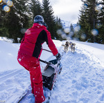 © Conduite d'un attelage de chiens de traîneaux - Évasion Nordique 74 - @Franck Charton