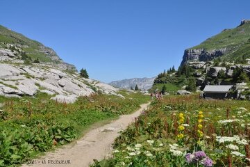 © Arrivée au refuge - Refuge de Sales