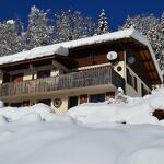 Chalet l'Adret - Appartement Le Chamois - 4/5 personen