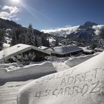 Chalet l'Adret - Appartement Le Chamois - 4/5 personen