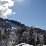 Chalet L'Adret - Appartement Les Marmottes - 4/6 personen