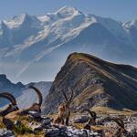© Grandes-Platieres-Desert-Plate-Flaine- - OT Flaine-Candice Genard
