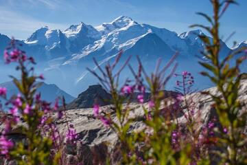 © Grandes-Platieres-Desert-Plate-Flaine-Vue-Mont-Blanc - OT Flaine-Candice Genard