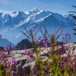 © Grandes-Platieres-Desert-Plate-Flaine-Vue-Mont-Blanc - OT Flaine-Candice Genard