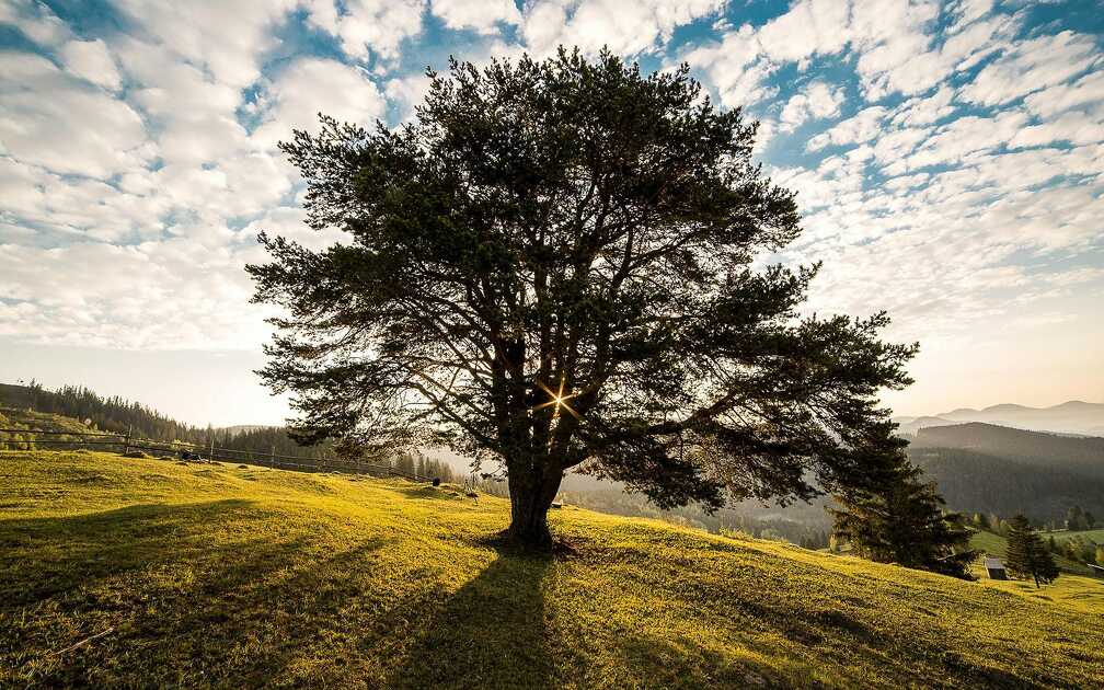 En Naturez'Vous