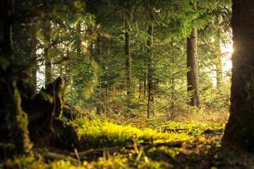 En Naturez'Vous