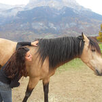 © Riding School - Eugénie PIBIS