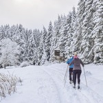 © Nordic skiing discovery - Pixabay