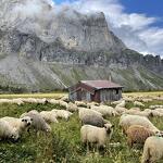 © Alfred Wills mountain refuge - Arlette