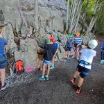 © 700b44c9-719f-4a5e-83f2-54b8953d97e7.JPG - chamois