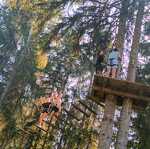 © 2fa1b19a-ba86-445e-8e76-2e87853ee616.JPG - chamois