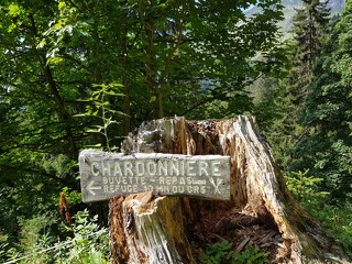 © Chardonnière Toevluchtsoord - nachon