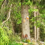 © Course d'orientation - Plateau d'Agy_Saint-Sigismond - Centre Nordique d'Agy