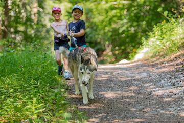 © Cani-Walk - Les Granges de Heidi