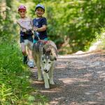 © Cani-Walk - Les Granges de Heidi
