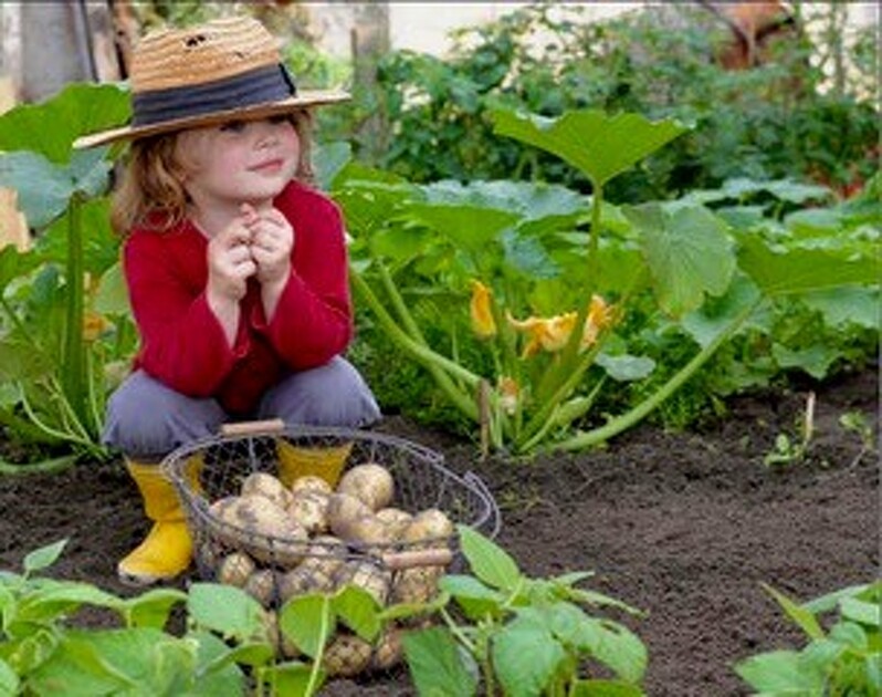 Atelier "le petit jardinier"_Les Carroz-d'Arâches