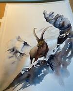 Atelier aquarelle avec Christelle RONCALI-PELLET