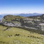 © Sentier thématique : Epilogue… le trésor du tombeau de Phidias_Flaine - OT Flaine / C.Genard