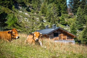© Sentier thématique : Epilogue… le trésor du tombeau de Phidias_Flaine - OT Flaine / C.Genard
