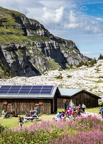 Visite guidée de l'Alpage de Sales