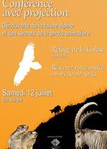 🐾 Projection en refuge: nature, mountains and the secrets of wildlife photography 📸🏔️
