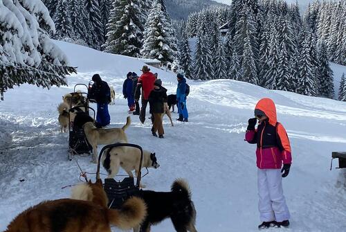 Grand Nord au Grand Massif