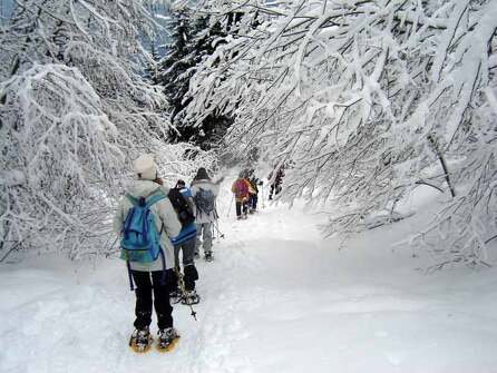 La Charniaz signposted snowshoe trail