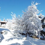 Chalet avec deux appartements aux Carroz 3 étoiles