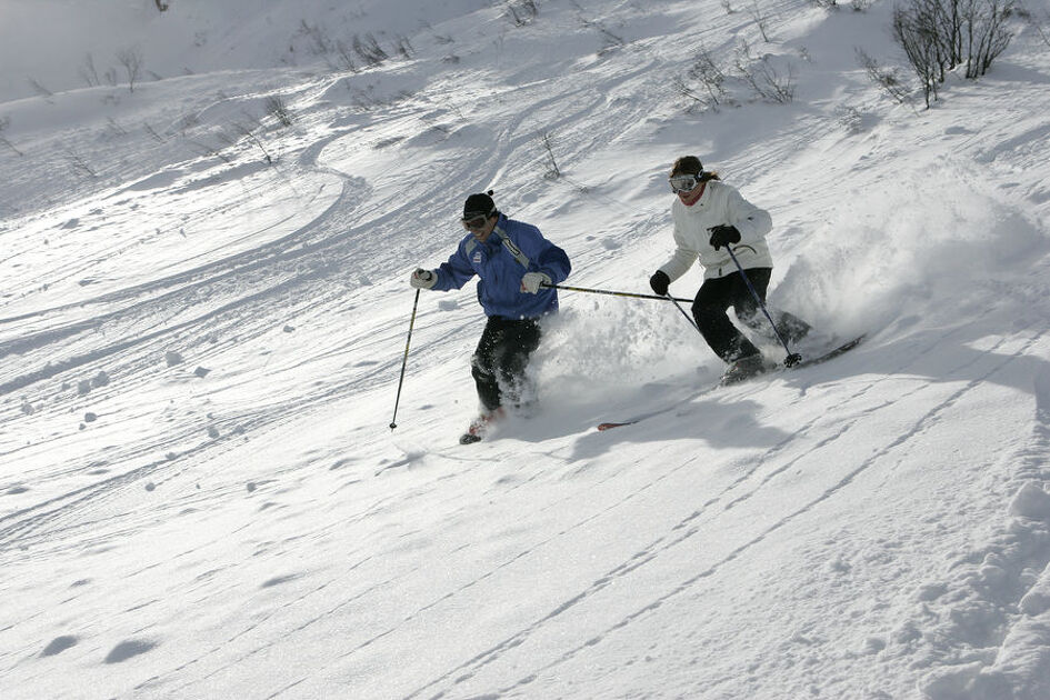 Moniteur de ski indépendant